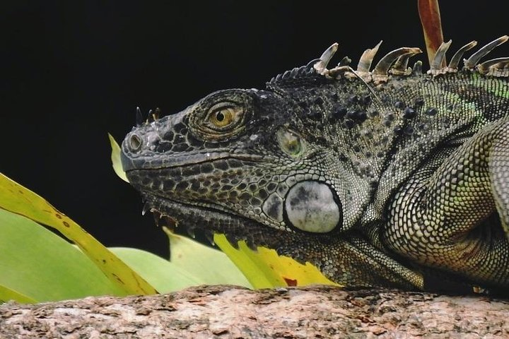 Nature Hike in La Fortuna - Photo 1 of 14